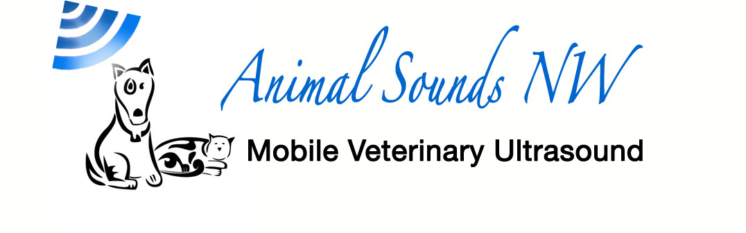 Animal Sounds Northwest